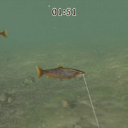 フィッシュアイズ チャレンジ