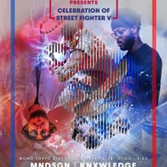 『ストリートファイターＶ チャンピオンエディション』本日14日より発売─狂乱の王「セス」を含む総勢40キャラ、200種以上のコスチュームが使用可能！