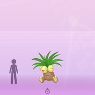 『ポケモンHOME』キョダイポケモンの名は伊達じゃない!? 驚きの詰まったポケモンの高さ比較機能を楽しもう