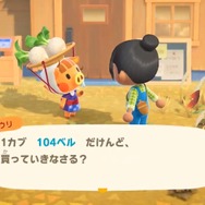 『あつまれ どうぶつの森』Direct映像で見逃しがちな18の要素!リセットさんのその後やしずえの小ネタも