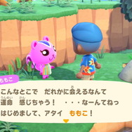 『あつまれ どうぶつの森』Directで発表された最新情報まとめ―お馴染みのマイホームや住民たちがプレイヤーを待つ！もちろんローン返済も…