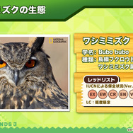 『けものフレンズ３』「ジャパリ団」がついに実装！新モード「シーザーバル道場」でハイスコアを狙え【公式生放送まとめ】