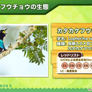 『けものフレンズ３』「ジャパリ団」がついに実装！新モード「シーザーバル道場」でハイスコアを狙え【公式生放送まとめ】