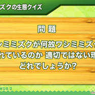 『けものフレンズ３』「ジャパリ団」がついに実装！新モード「シーザーバル道場」でハイスコアを狙え【公式生放送まとめ】