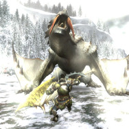 モンスターハンター3(トライ)