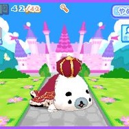 クプ〜!! まめゴマ!