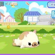 クプ〜!! まめゴマ!