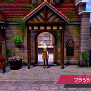 『ポケモン ソード・シールド』アニメ「薄明の翼」第3話でゲームとの繋がりを感じたポイント9選！君は木に潜む“ヨクバリス”に気付いた？