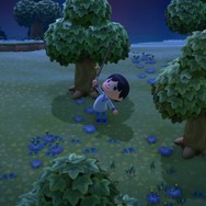 『あつまれ どうぶつの森』無人島暮らしに慣れるまでのTIPS集！ コツを掴んで生活をより楽しくしよう