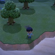 『あつまれ どうぶつの森』無人島暮らしに慣れるまでのTIPS集！ コツを掴んで生活をより楽しくしよう