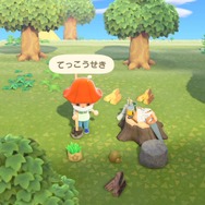 『あつまれ どうぶつの森』無人島暮らしに慣れるまでのTIPS集！ コツを掴んで生活をより楽しくしよう