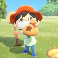 最終値下げ　あつまれ どうぶつの森 まとめ売り 最終値下げ Nintendo Switch あつまれ どうぶつの森セット