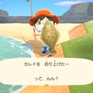 『あつまれ どうぶつの森』とにかくお金が欲しいあなたに！ 序盤にできる金策10項目