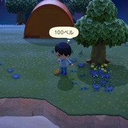 『あつまれ どうぶつの森』とにかくお金が欲しいあなたに！ 序盤にできる金策10項目