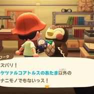 『あつまれ どうぶつの森』とにかくお金が欲しいあなたに！ 序盤にできる金策10項目