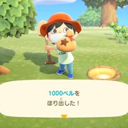 最終値下げ　あつまれ どうぶつの森 まとめ売り 最終値下げ ゲームまとめ売り どうぶつの森⁺ あつまれ