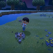 『あつまれ どうぶつの森』とにかくお金が欲しいあなたに！ 序盤にできる金策10項目