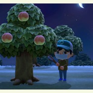 『あつまれ どうぶつの森』マルチプレイをさらに楽しむ10のコツ! 準備しておけば一緒に遊ぶのがさらに楽しく