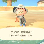 『あつまれ どうぶつの森』シリーズ初心者必見！空飛ぶ風船や蜂・タランチュラの対処方法は？8つの細かな疑問にお答え