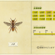 『あつまれ どうぶつの森』シリーズ初心者必見！空飛ぶ風船や蜂・タランチュラの対処方法は？8つの細かな疑問にお答え