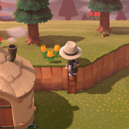 『あつまれ どうぶつの森』シリーズ初心者必見！空飛ぶ風船や蜂・タランチュラの対処方法は？8つの細かな疑問にお答え