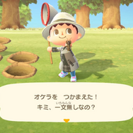 『あつまれ どうぶつの森』シリーズ初心者必見！空飛ぶ風船や蜂・タランチュラの対処方法は？8つの細かな疑問にお答え