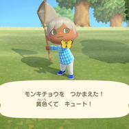 『あつまれ どうぶつの森』さまざまな「音」に注目！耳から癒やされる無人島生活のすすめ