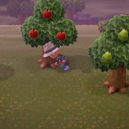 『あつまれ どうぶつの森』岩叩きから“ベルのなる木”までコイツにおまかせ！多彩な用途を誇る「スコップ」活用法7選