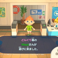 『あつまれ どうぶつの森』カッコイイ系？ギャグ寄り？あなたの「島の名前」を教えて！【読者アンケート】