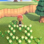 『あつまれ どうぶつの森』これであなたもガーデナー！お花を極めるために知っておきたい情報ひとまとめ