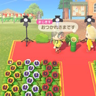 話題のテレワークって『あつまれ どうぶつの森』でも出来るんじゃない?編集部が実験して見えてきたメリット&デメリット