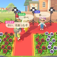 話題のテレワークって『あつまれ どうぶつの森』でも出来るんじゃない?編集部が実験して見えてきたメリット&デメリット