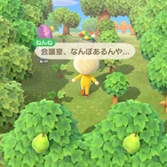 話題のテレワークって『あつまれ どうぶつの森』でも出来るんじゃない?編集部が実験して見えてきたメリット&デメリット