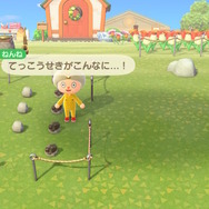 話題のテレワークって『あつまれ どうぶつの森』でも出来るんじゃない?編集部が実験して見えてきたメリット&デメリット