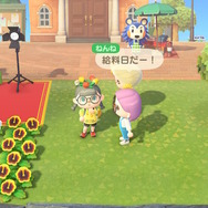 話題のテレワークって『あつまれ どうぶつの森』でも出来るんじゃない?編集部が実験して見えてきたメリット&デメリット