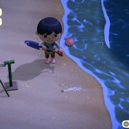 『あつまれ どうぶつの森』3月までの限定レア魚「イトウ」にチャレンジ！“まきエサ”100個で幻の魚は釣れるか!?　