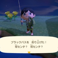 『あつまれ どうぶつの森』3月までの限定レア魚「イトウ」にチャレンジ！“まきエサ”100個で幻の魚は釣れるか!?　