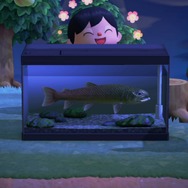 『あつまれ どうぶつの森』3月までの限定レア魚「イトウ」にチャレンジ！“まきエサ”100個で幻の魚は釣れるか!?　