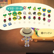 『あつまれ どうぶつの森』移住費用5000マイル支払いに役立つ！序盤でもパパっと終わるたぬきマイレージ8選