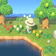 『あつまれ どうぶつの森』移住費用5000マイル支払いに役立つ！序盤でもパパっと終わるたぬきマイレージ8選