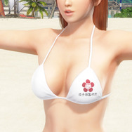 『アリスギア』×『DOAXVV』異色コラボの裏にある共通点―本気のコラボ内容と“やわらかさ”への熱い想いを訊く