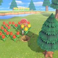 【週刊インサイド】『あつまれ どうぶつの森』でテレワーク!? マイデザインお役立ちテクニックや「イトウ」チャレンジなどの特集に読者が注目