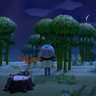 『あつまれ どうぶつの森』マイル旅行券を使えば「夢のような島」に行ける!? マイルをつぎこんでレア島に挑戦してみた