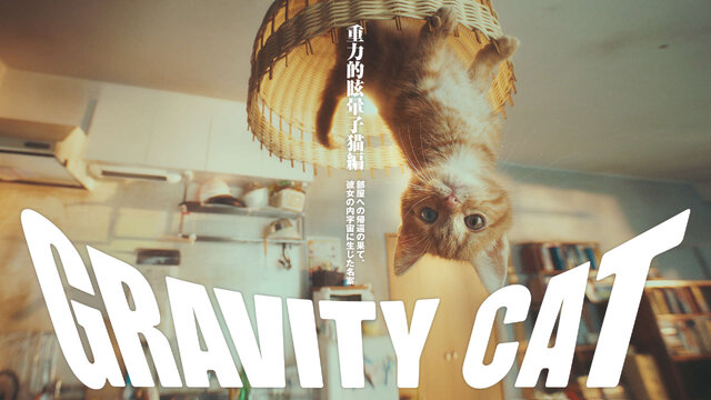 Gravity Daze 2 重力 猫 が世界を反転 乃木坂46 伊藤万理華が 空に落ちる 新pv映像をお披露目 インサイド
