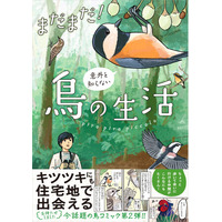 今、大人気の鳥コミック待望の第2弾『まだまだ！意外と知らない鳥の生活』が2025年9月4日（木）発売！